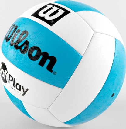 Volleyball Ball