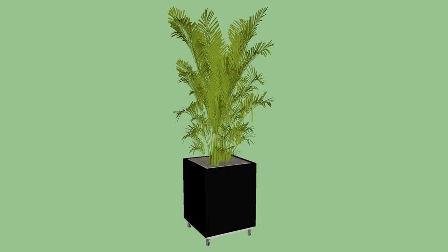 VASO COM COQUEIRO DE JARDIM