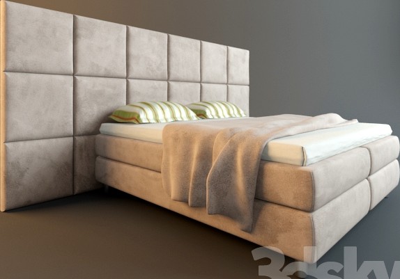 Musterring / Evolution