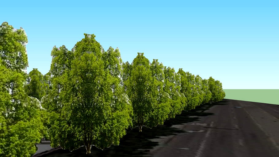 Trees around Lady of Hope Church in Rosemont, IL,USA