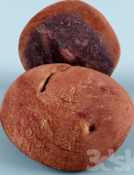 Izmailovsky bread