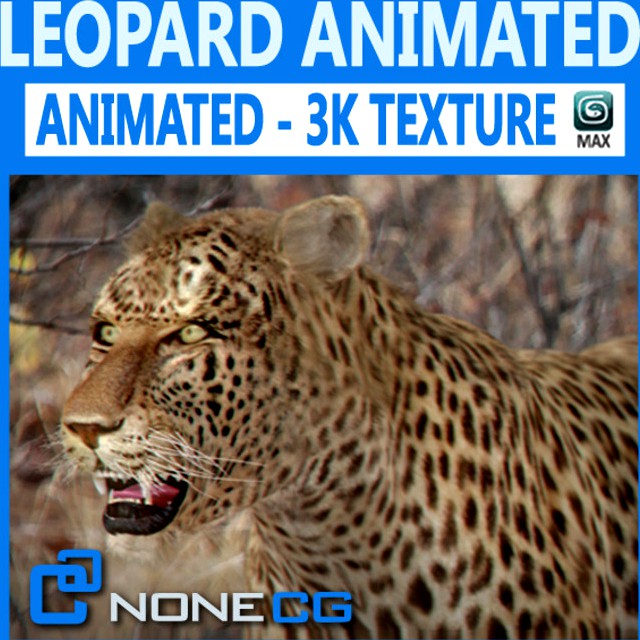 Animated Leopard