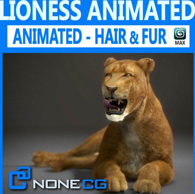 Animated Lioness