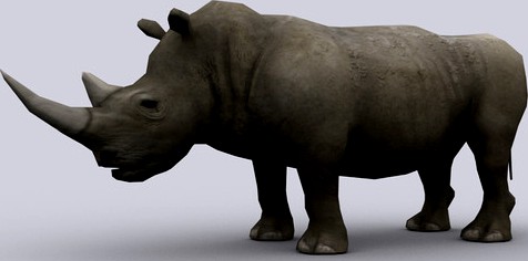RHINOCEROS with Native File
