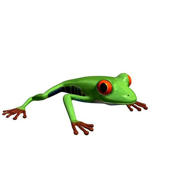 Frog v1