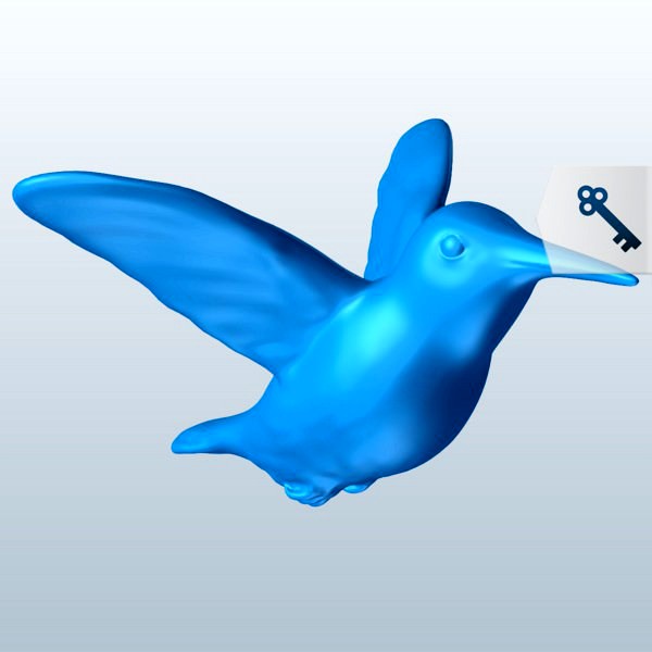 Hummingbird Hovering v1