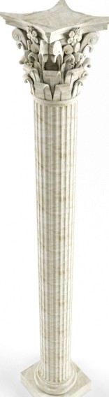 column2