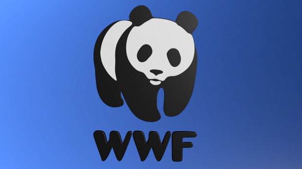 wwf logo