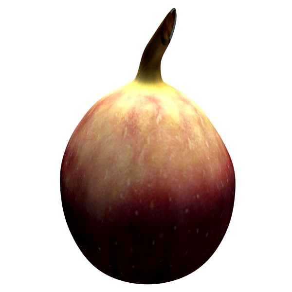 Fig