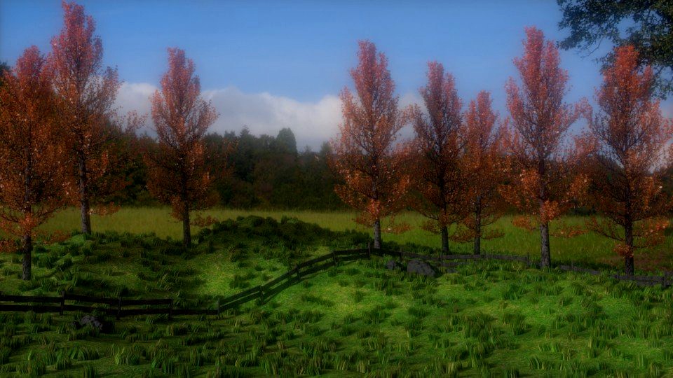 Landscape