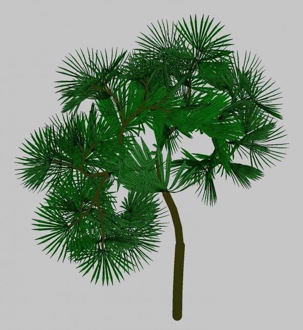 tree 02