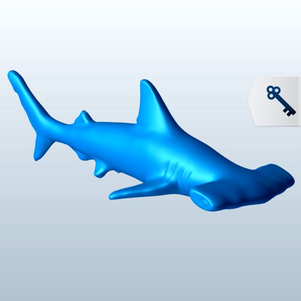 Hammerhead Shark v2