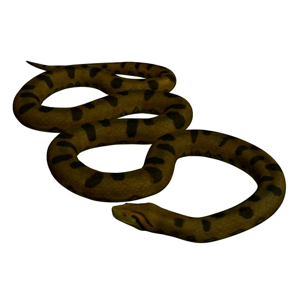Anaconda v1