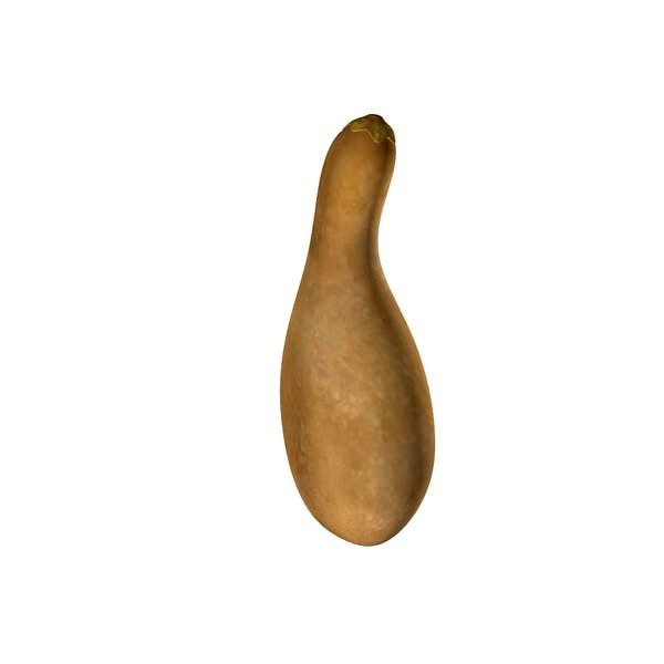 squash
