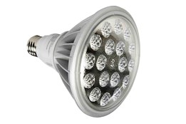 25 Watt LED PAR 38 Spot / Flood Light - 2500 Lumens - 120-240V AC - 12-24VDC
