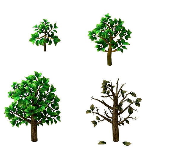 tree plant