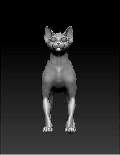 sphinx cat