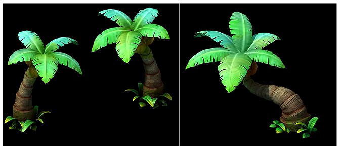 coconut tree