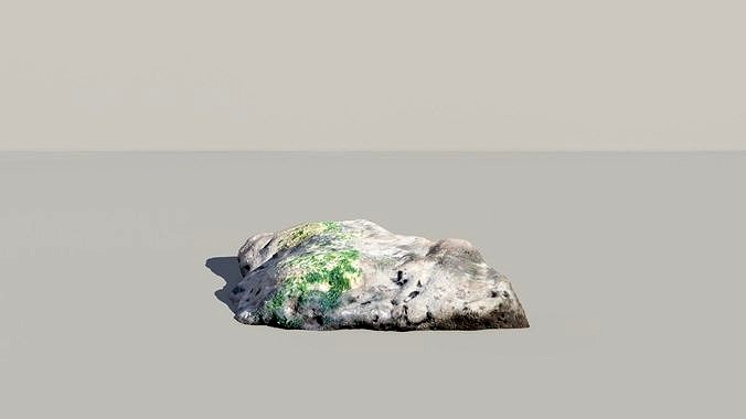 Mossy Fossil Rock 3D Scanned Model