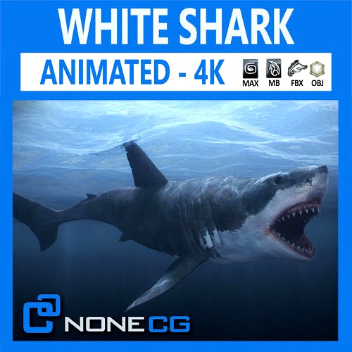 Animated Great White Shark
