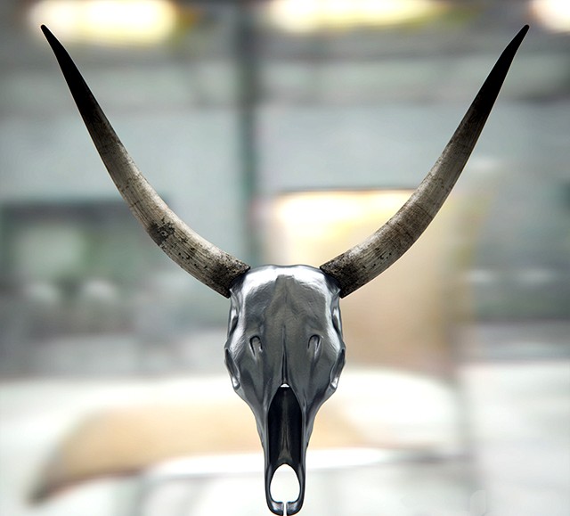 RH Longhorn Skull
