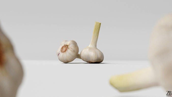 Garlic 002