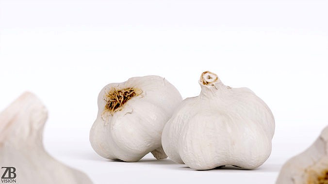 Garlic 001