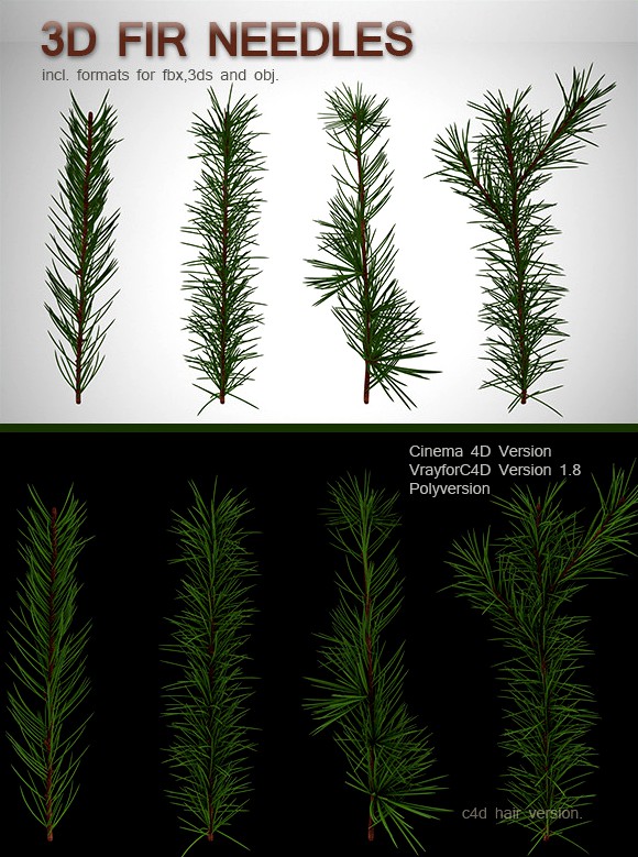 Fir Needles