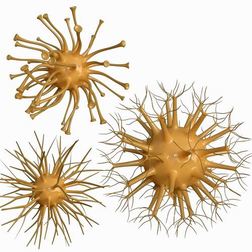 Viruses