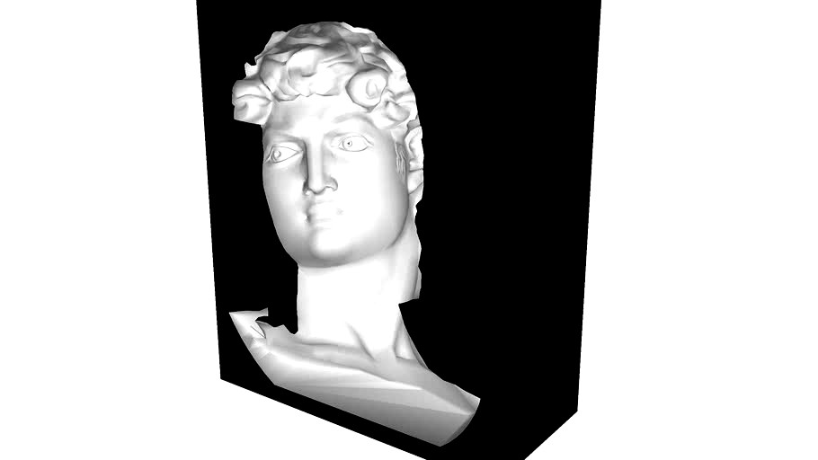 Turning Head Optical Illusion