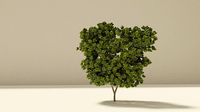 tree 3d model