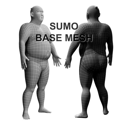 Sumo base mesh 3d model