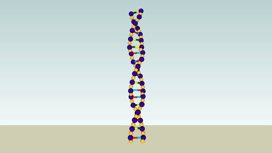 DNA structure