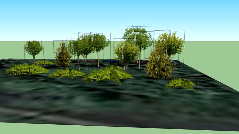Floresta Tropica