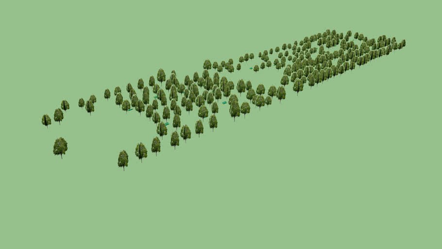 Центральный Парк