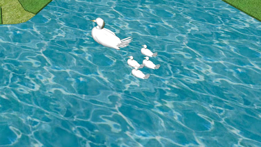 Nice ducks