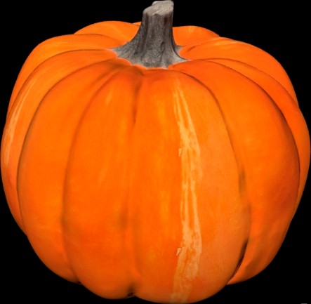 Pumpkin