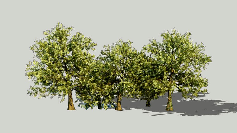 2D Trees HD for Sketchup 8