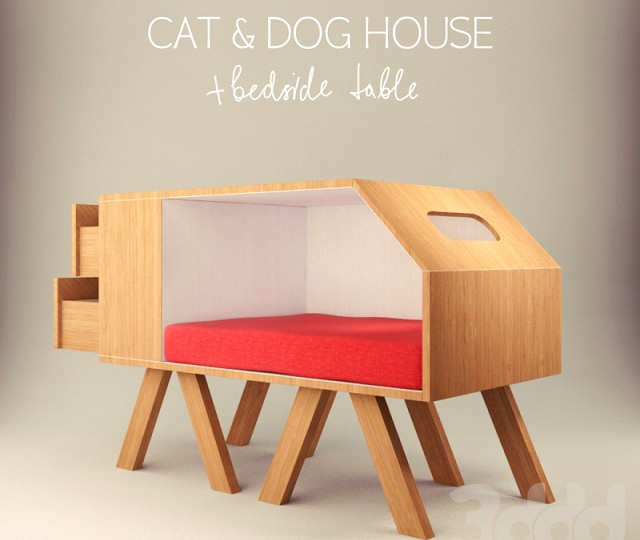 Cats house