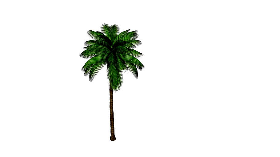 Coqueiro 3d