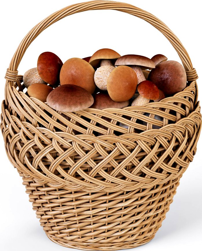 Wicker Basket 01 with Mushrooms3d model