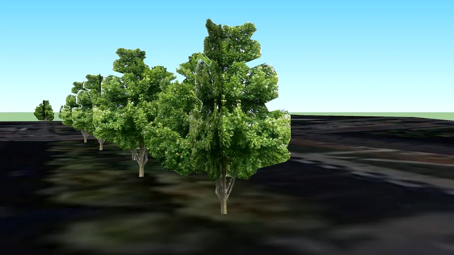 Сквер на пр. Ленина-Свердлова