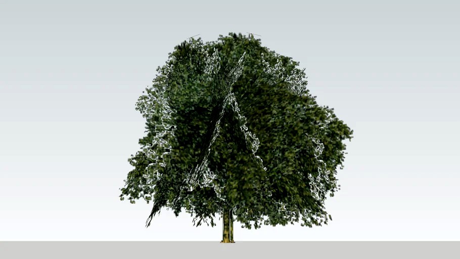 Tree version 2