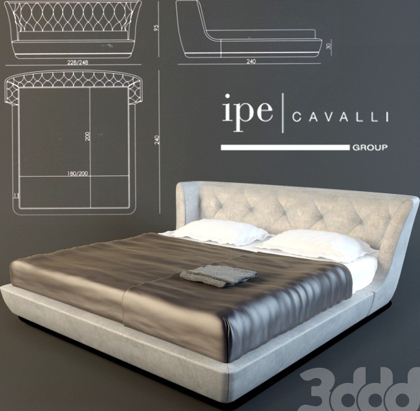 ipe cavalli ROY