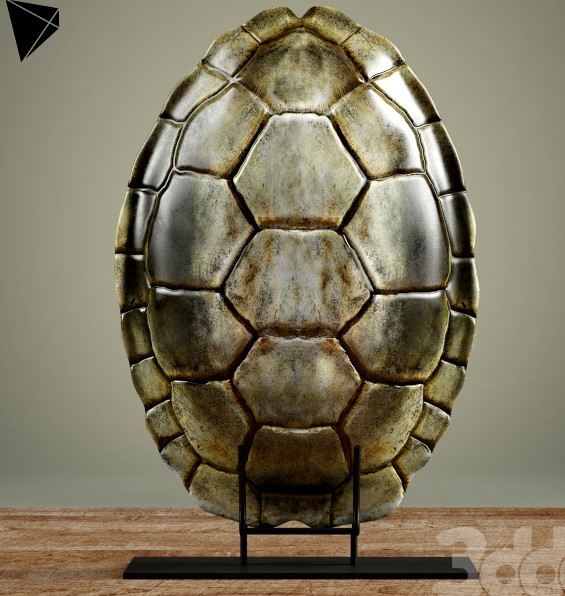 John-Richard Turtle Shell Decor