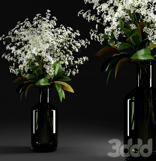 Gypsophila and magnolia leaves in bottle