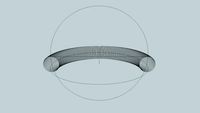 Toroidal Ring Singularity