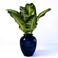 banana leaves