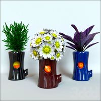 Flowers in pots