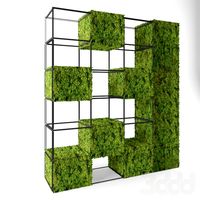 moss shelves